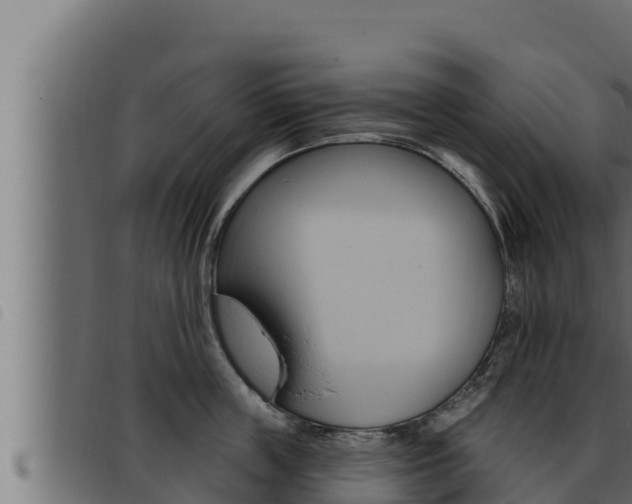 X0000093470859200710121009