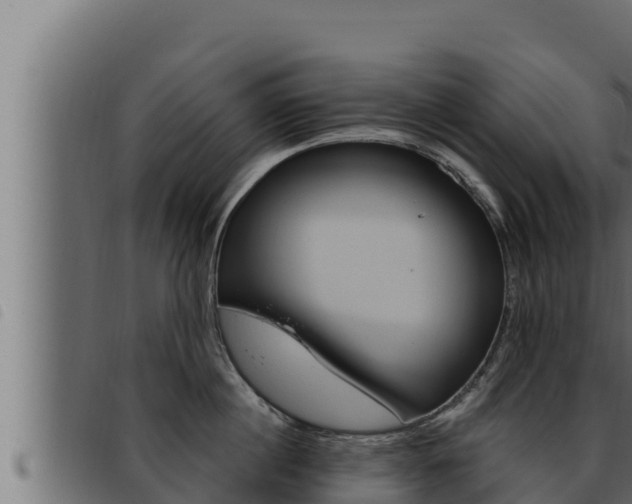 X0000093470860200710121009