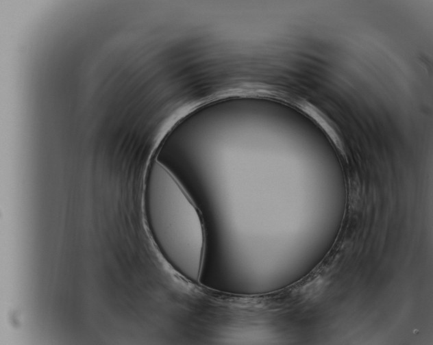 X0000093470861200710121009