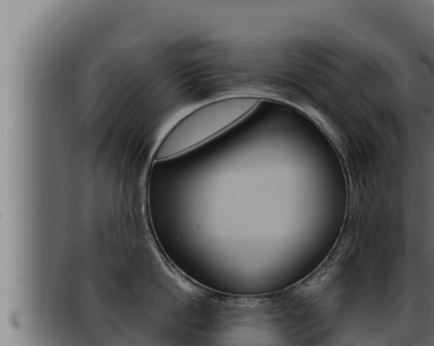 X0000093470862200710121009