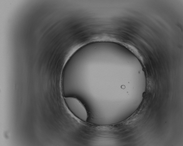 X0000093470863200710121009
