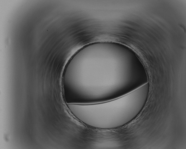 X0000093470864200710121009