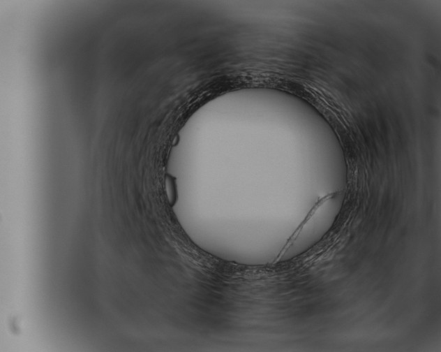 X0000093470865200710121009