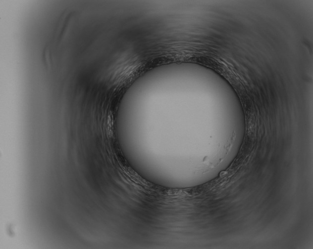 X0000093470866200710121009