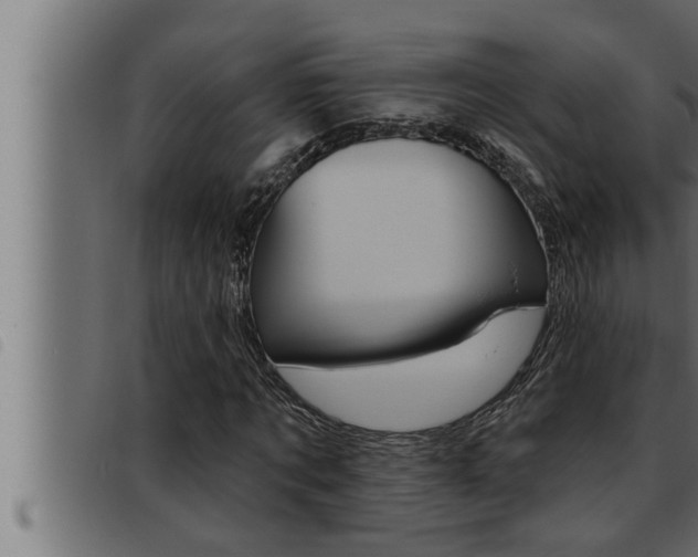 X0000093470869200710121009