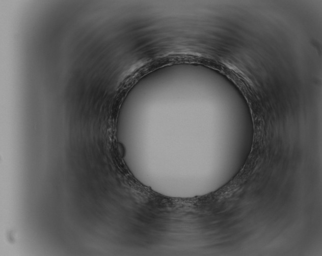 X0000093470870200710121009