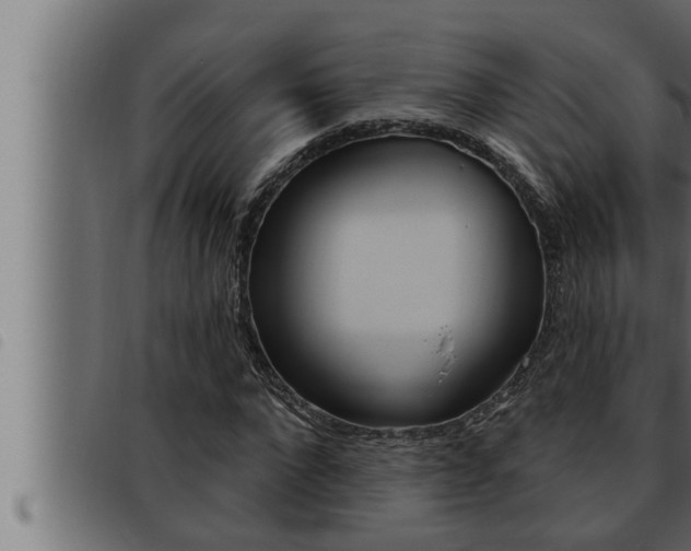 X0000093470872200710121009