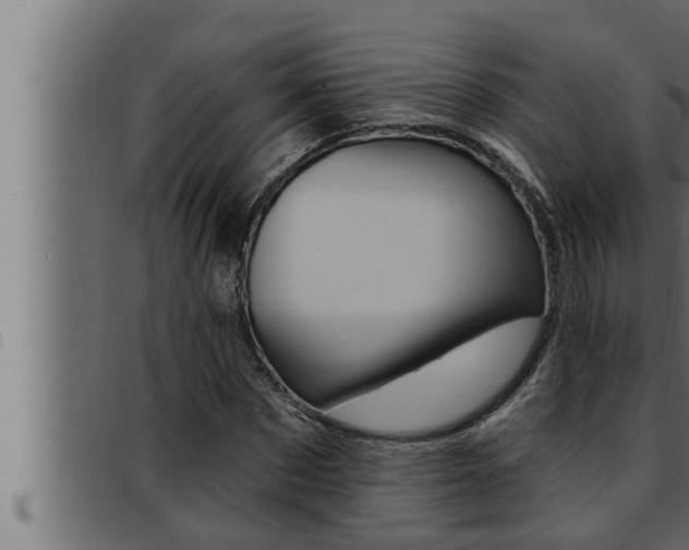X0000093470873200710121008