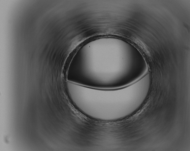 X0000093470876200710121008