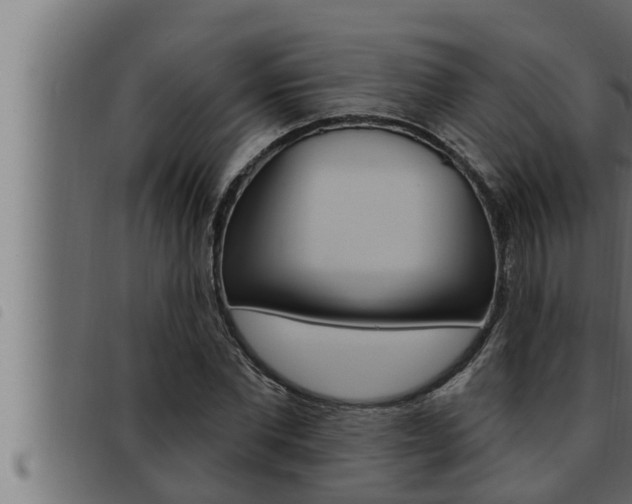 X0000093470877200710121008
