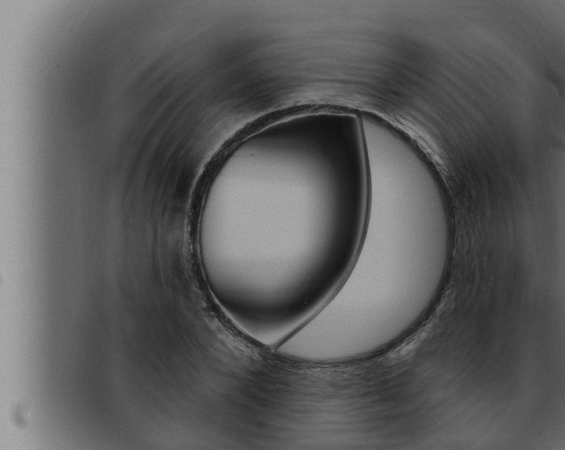 X0000093470880200710121008