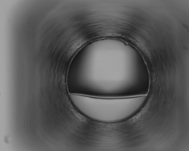 X0000093470881200710121008
