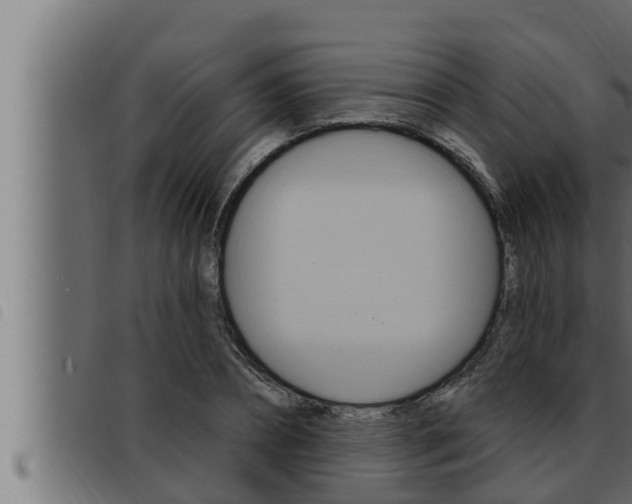 X0000093470882200710121008