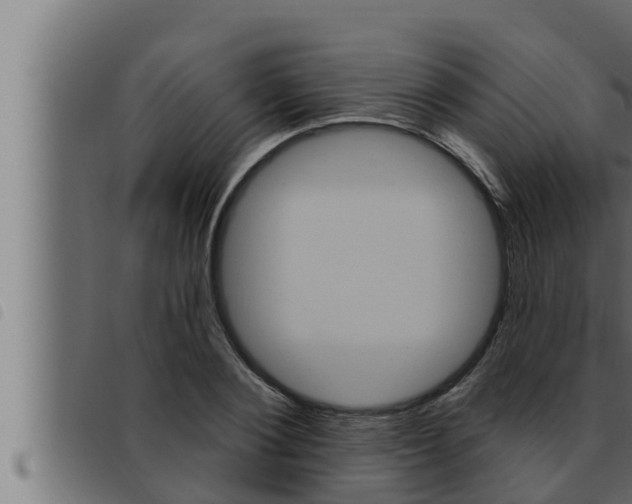 X0000093470884200710121008
