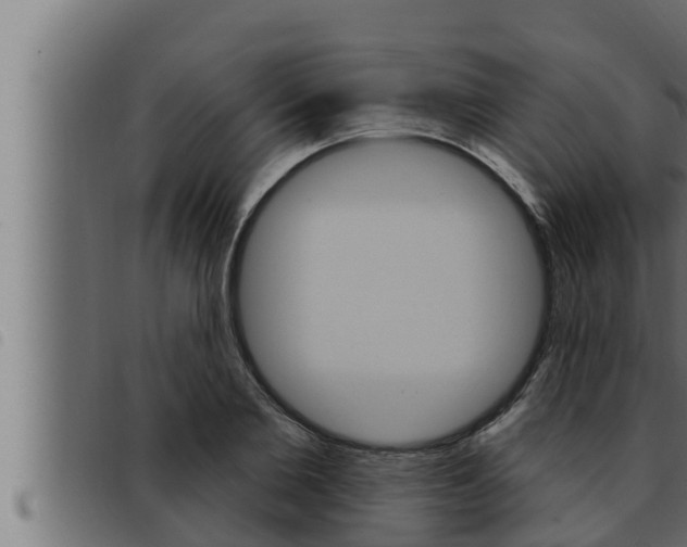 X0000093470885200710121008