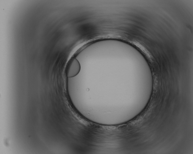 X0000093470886200710121008
