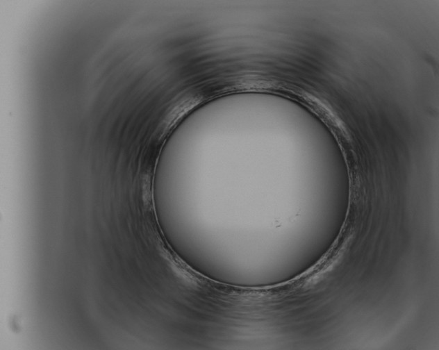 X0000093470889200710121008