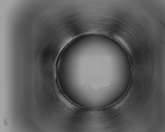 X0000093470892200710121008