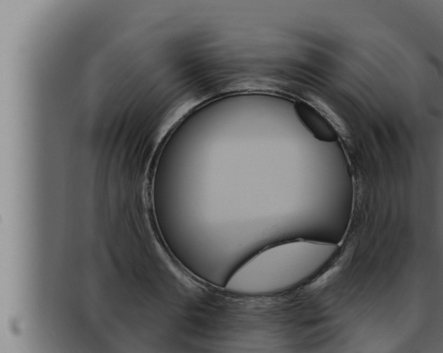 X0000093470893200710121008