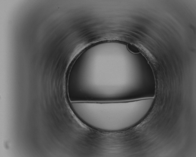 X0000093470894200710121008