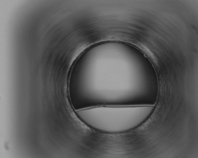 X0000093470896200710121008