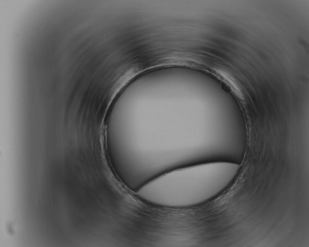X0000093470899200710121008