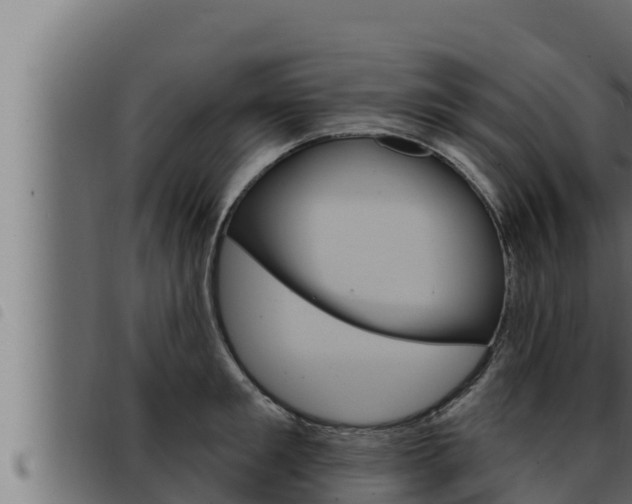 X0000093470901200710121008