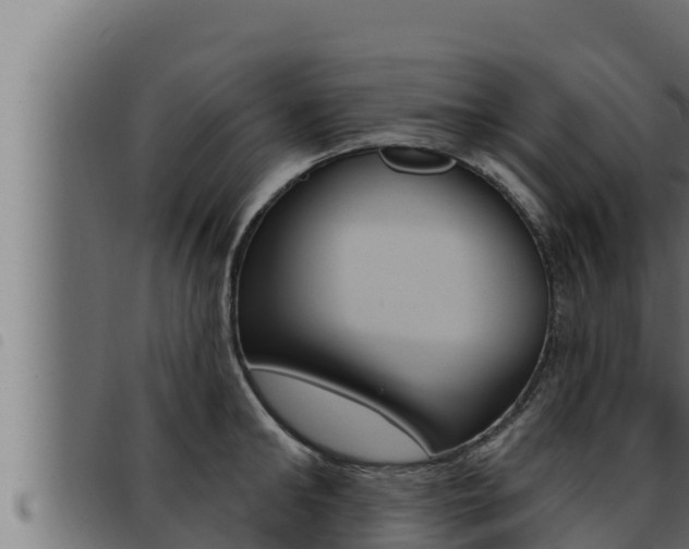 X0000093470902200710121008