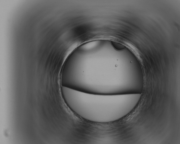 X0000093470907200710121008