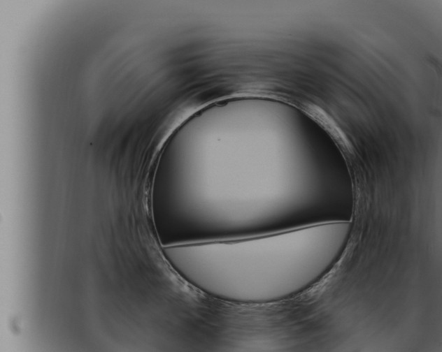 X0000093470908200710121008