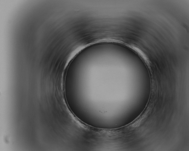 X0000093470910200710121008