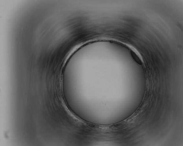 X0000093470911200710121008