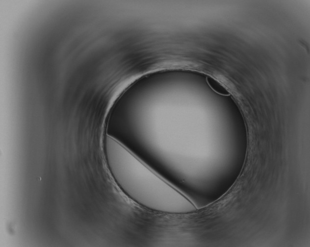 X0000093470912200710121008