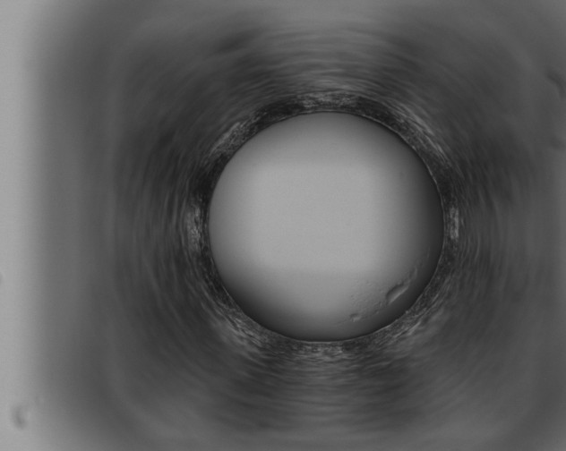 X0000093470915200710121007