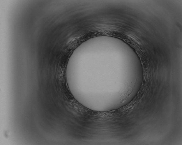 X0000093470917200710121007
