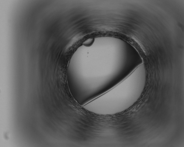 X0000093470919200710121007