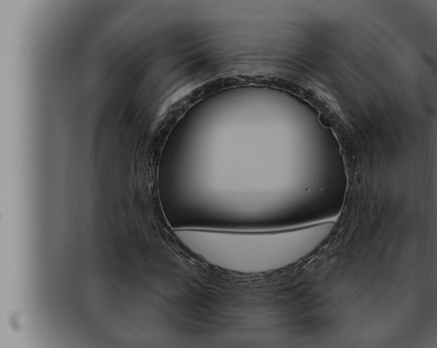 X0000093470920200710121007