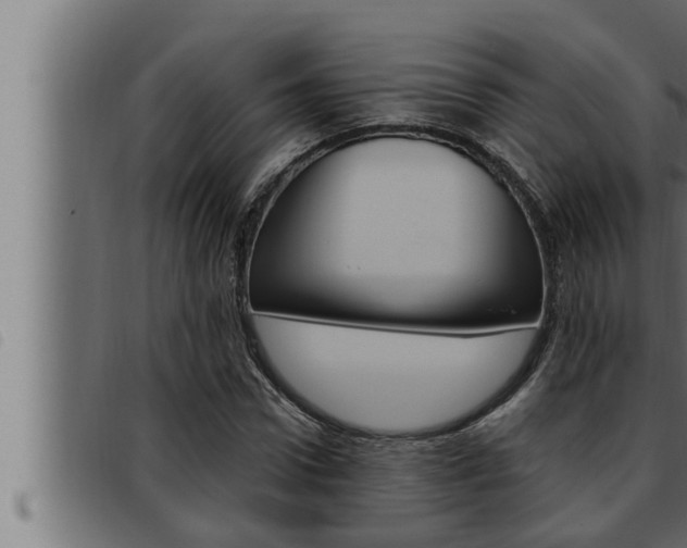 X0000093470922200710121007