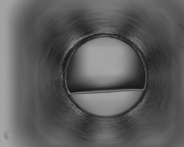 X0000093470923200710121007
