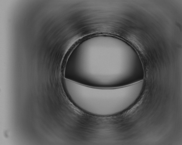 X0000093470924200710121007