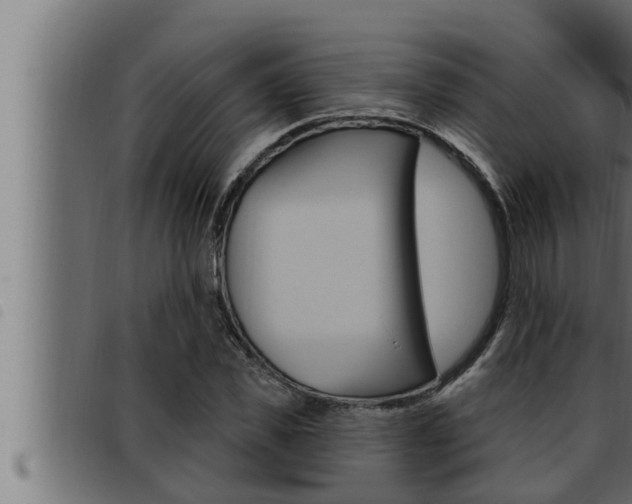 X0000093470925200710121007