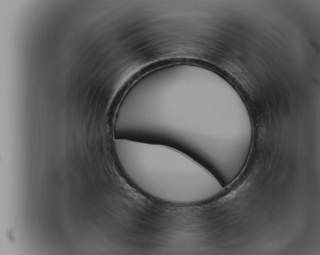 X0000093470926200710121007