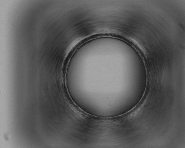 X0000093470927200710121007
