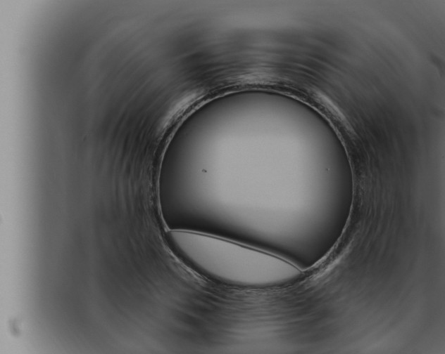 X0000093470930200710121008
