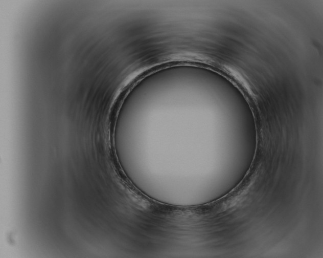 X0000093470931200710121008
