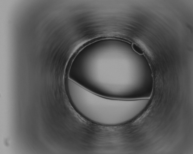 X0000093470932200710121008