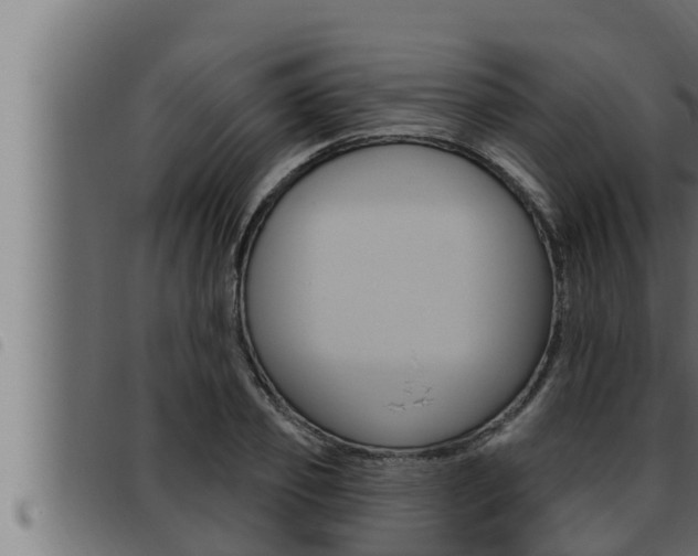 X0000093470933200710121008