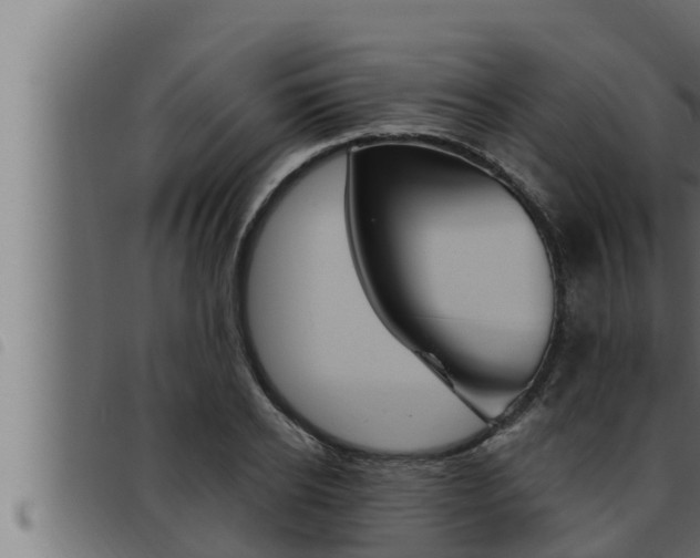 X0000093470934200710121008