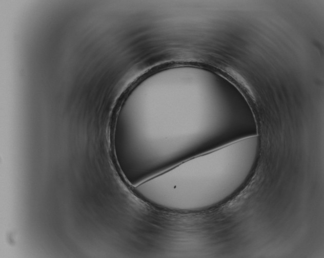 X0000093470935200710121008