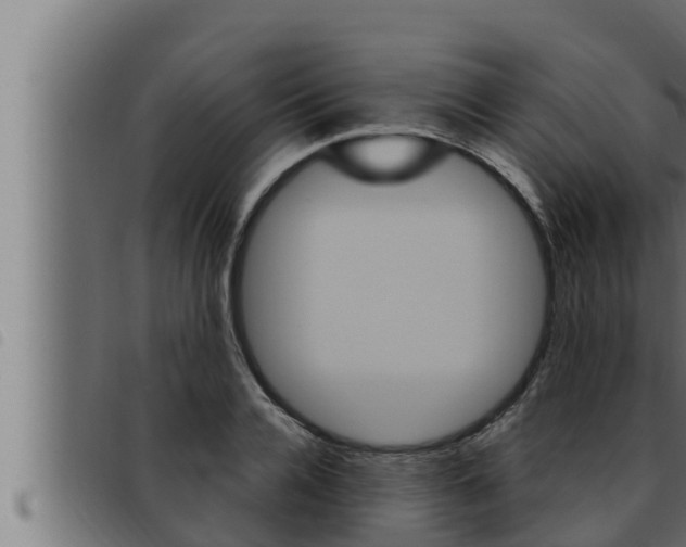 X0000093470936200710121008